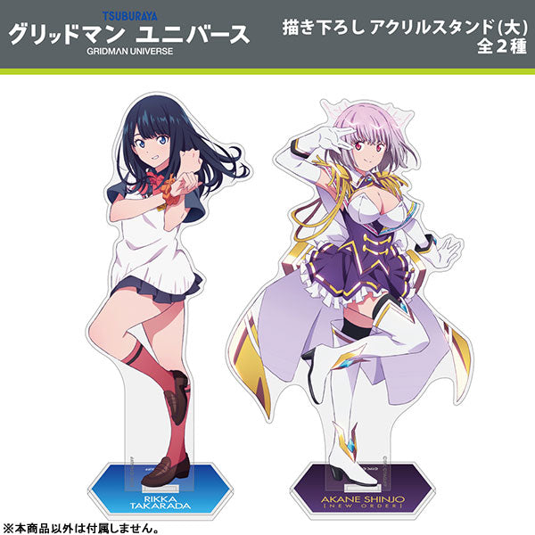 PREORDINE ESAURITO Gridman universe Original Illustration Acrylic Stand (VARI)20 cm