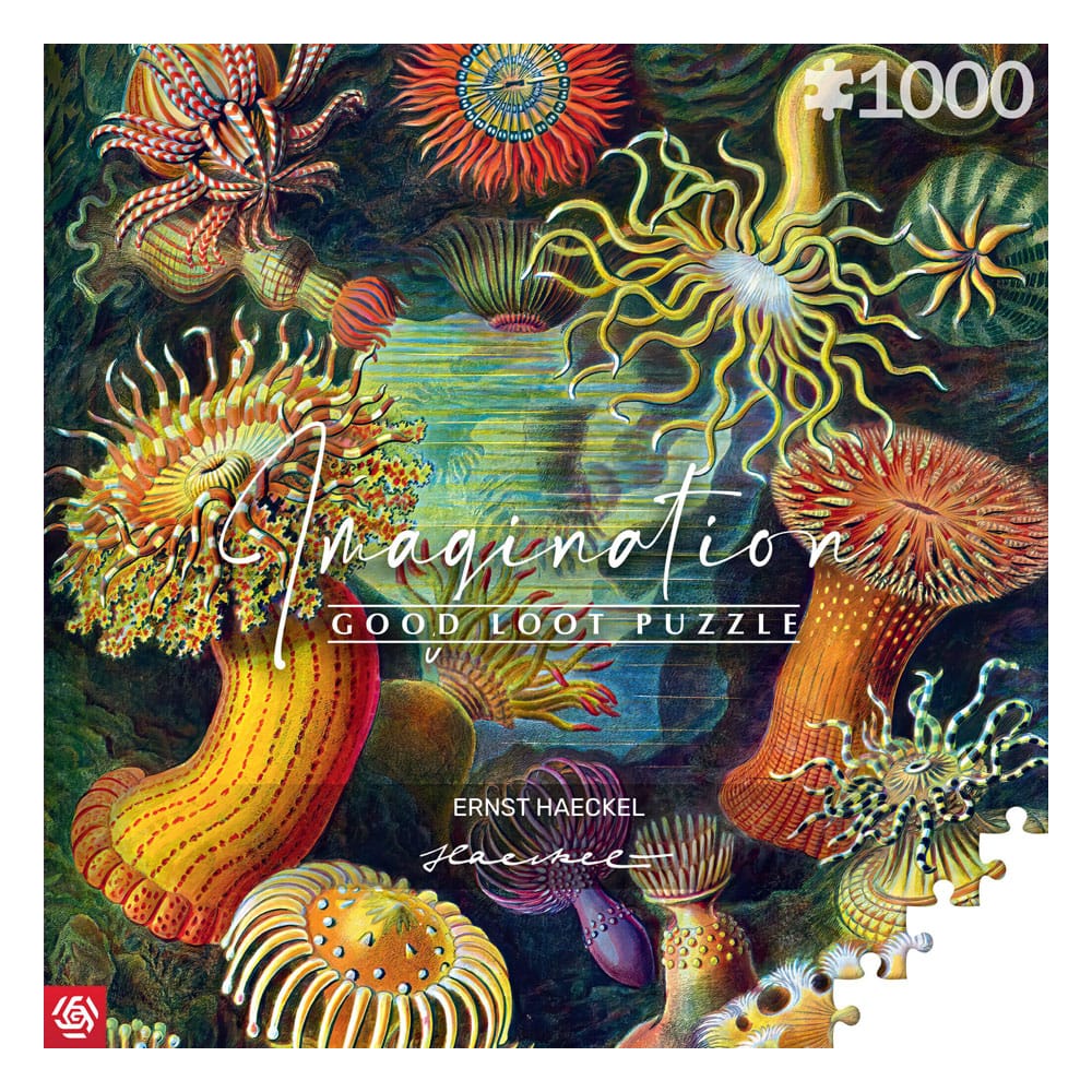SU ORDINAZIONE Ernst Haeckel Imagination Puzzle Sea Anemones/Stworzenia morskie (1000 pieces)