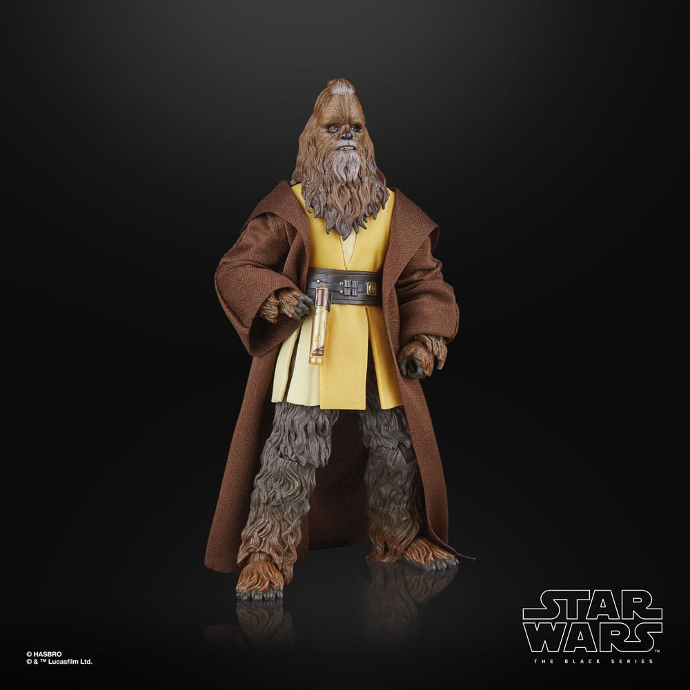 🧪 LAB | SU ORDINAZIONE Star Wars: The Acolyte Black Series Action Figure Jedi Master Kelnacca 15 cm