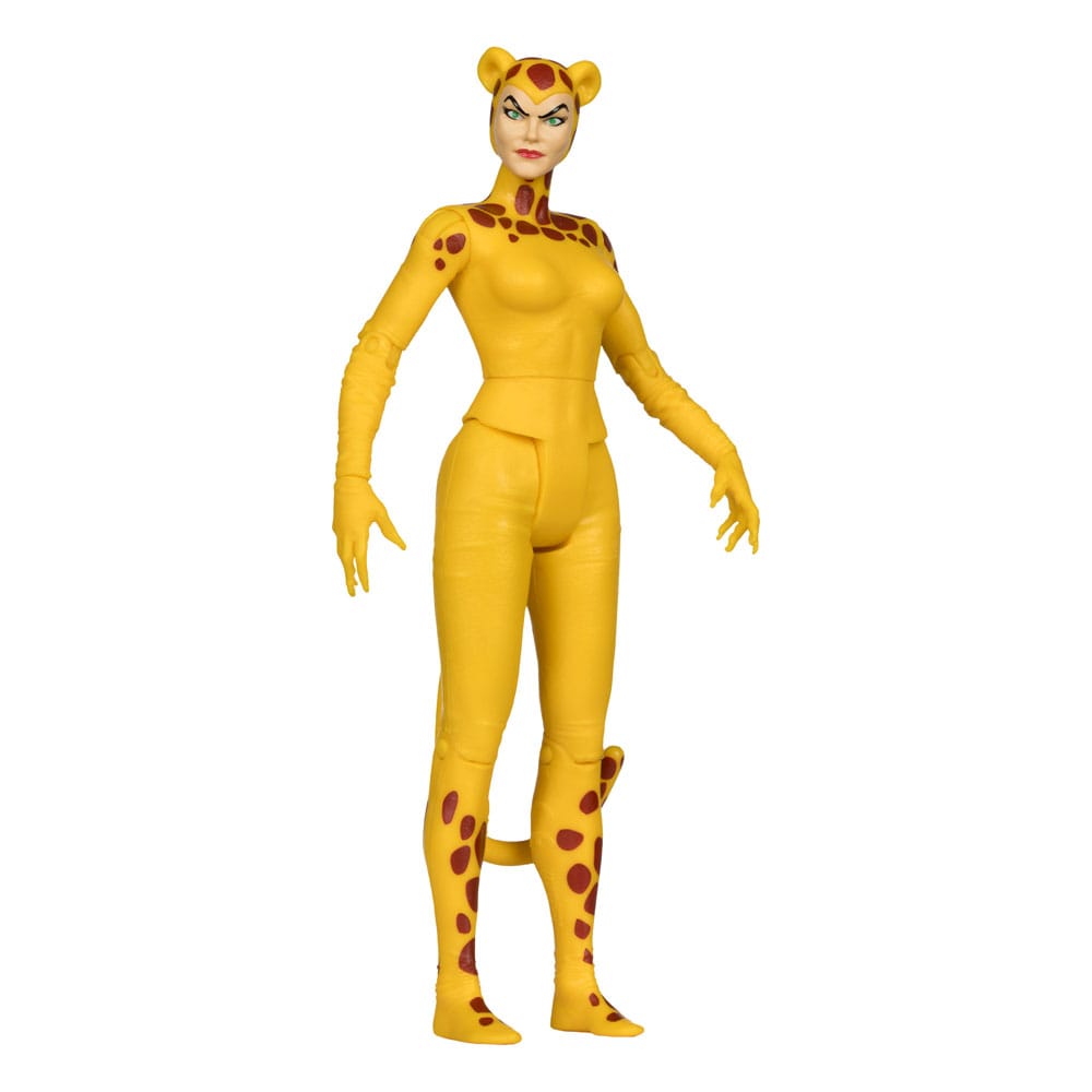 🧪 LAB | SU ORDINAZIONE DC Retro Action Figures 15 cm Wave 13 Super Friends Sortiment (6)