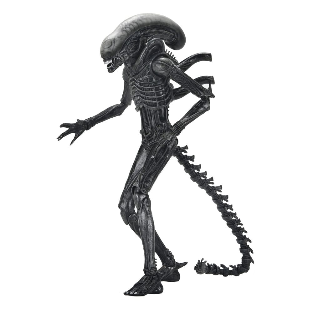 SU ORDINAZIONE Alien: Romulus Action Figure Ultimate Xenomorph XX121 18 cm
