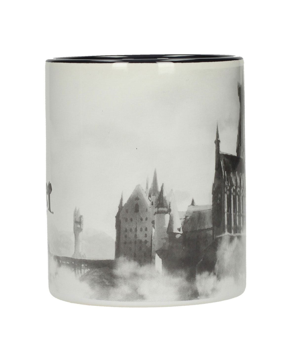 🧪 LAB | SU ORDINAZIONE Harry Potter Mug Hogwarts Castle