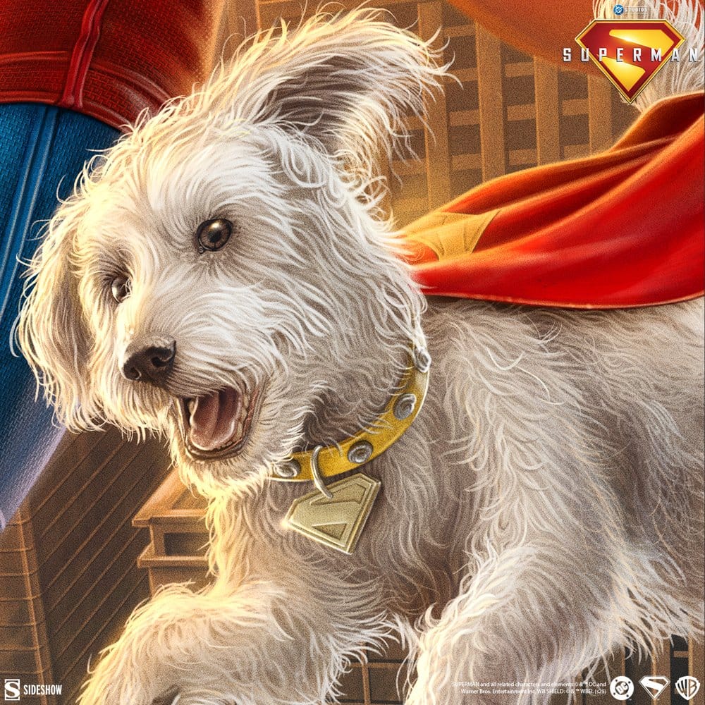 🧪 LAB | SU ORDINAZIONE Superman (2025) DC Comics Art Print Superman: A Symbol of Hope 41 x 61 cm - unframed