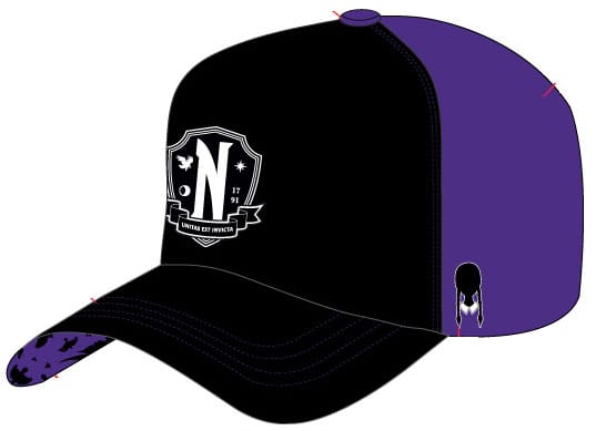 MADE TO ORDER Wednesday Curved Bill Cap Nevermore *SPECIAL PRICE*