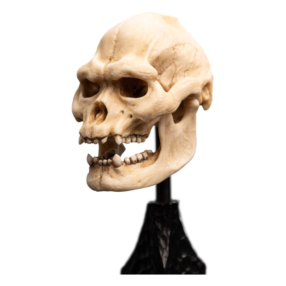 🧪 LAB | SU ORDINAZIONE Lord of the Rings Mini Statue Skull of Lurtz 14 cm