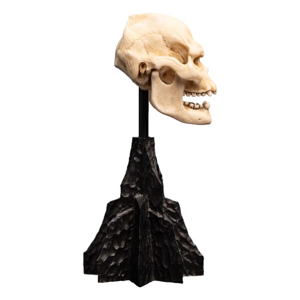 🧪 LAB | SU ORDINAZIONE Lord of the Rings Mini Statue Skull of Lurtz 14 cm