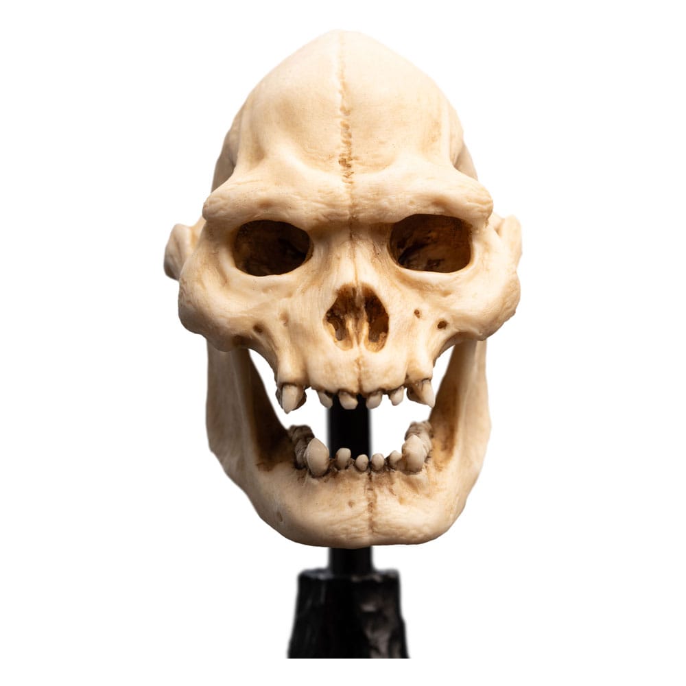 🧪 LAB | SU ORDINAZIONE Lord of the Rings Mini Statue Skull of Lurtz 14 cm