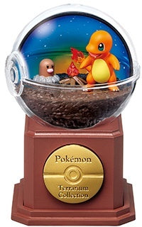 PREORDINE ESAURITO  Pokemon Terrarium Collection 10 Box da 6 DL 18/11