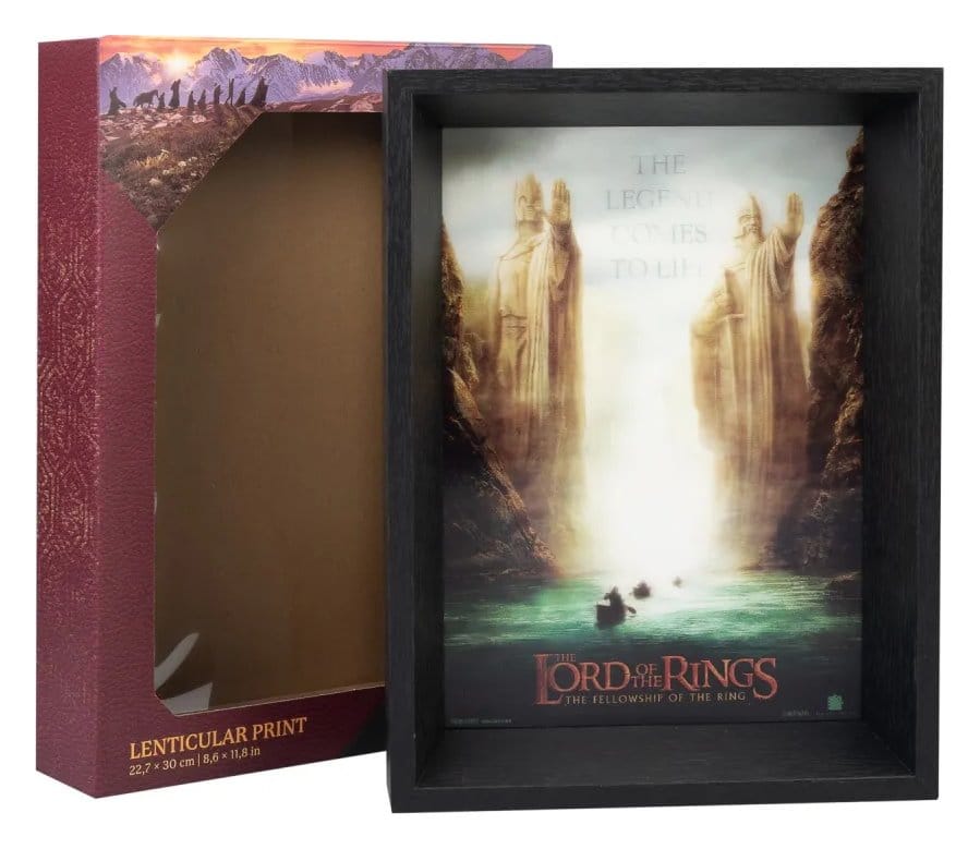 🧪 LAB | SU ORDINAZIONE The Lord of the Rings Framed Print