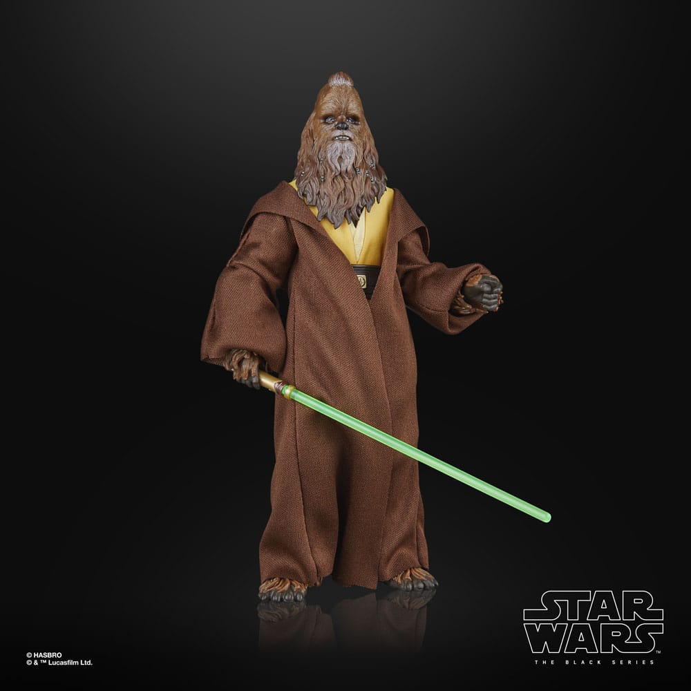 🧪 LAB | SU ORDINAZIONE Star Wars: The Acolyte Black Series Action Figure Jedi Master Kelnacca 15 cm