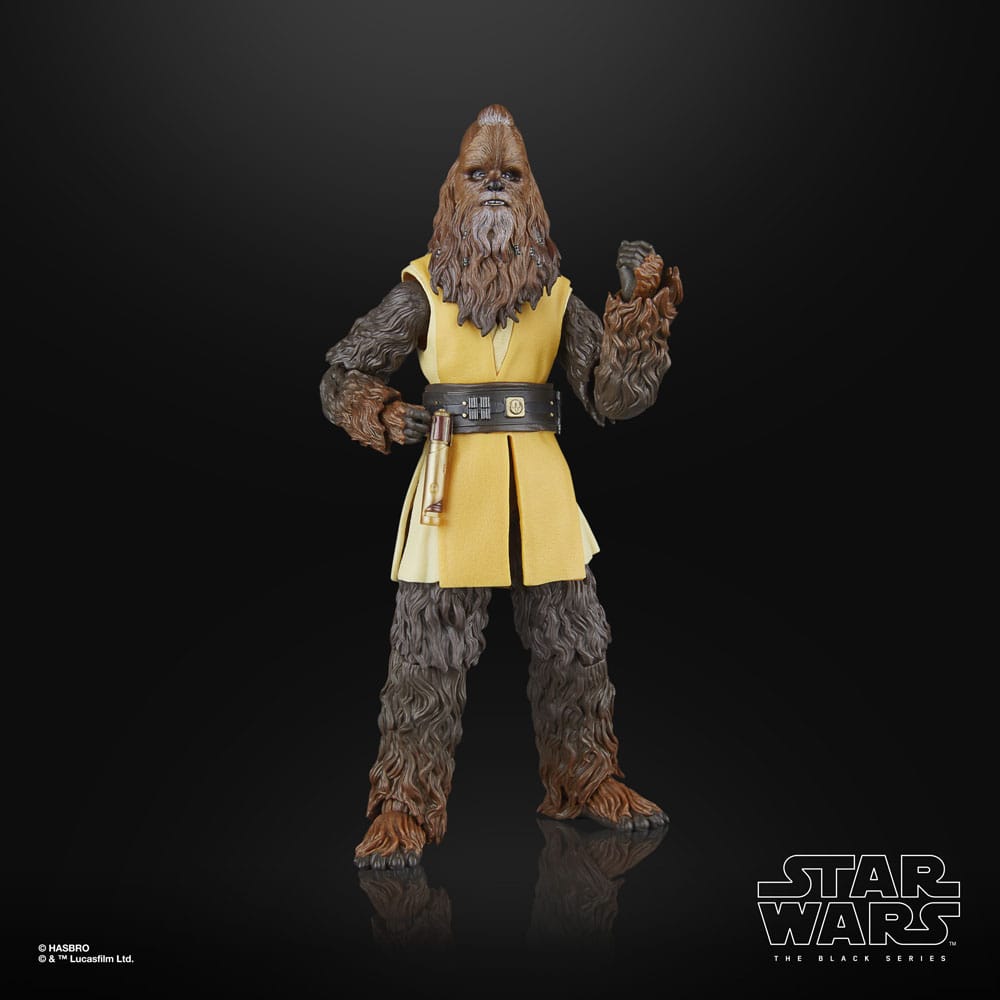 🧪 LAB | SU ORDINAZIONE Star Wars: The Acolyte Black Series Action Figure Jedi Master Kelnacca 15 cm