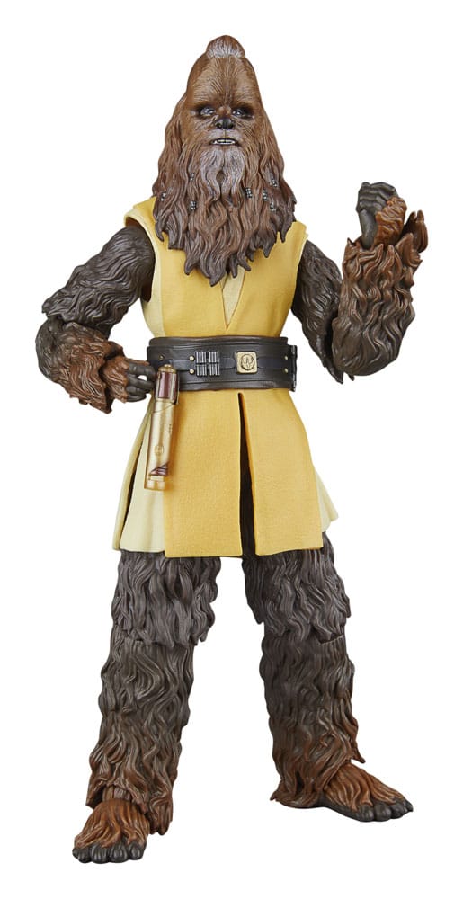 🧪 LAB | SU ORDINAZIONE Star Wars: The Acolyte Black Series Action Figure Jedi Master Kelnacca 15 cm