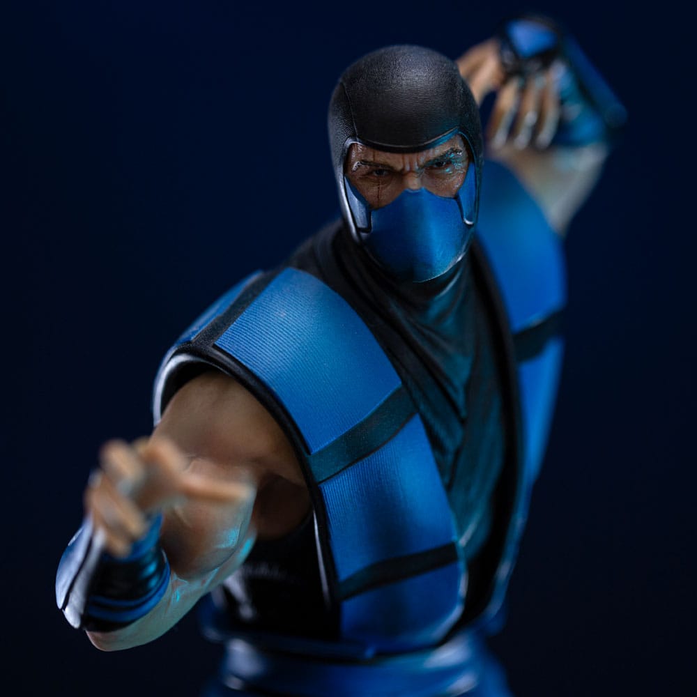🧪 LAB | SU ORDINAZIONE Mortal Kombat Art Scale Statue 1/10 Sub-Zero (Ninjas Collection) heo Exclusive 21 cm