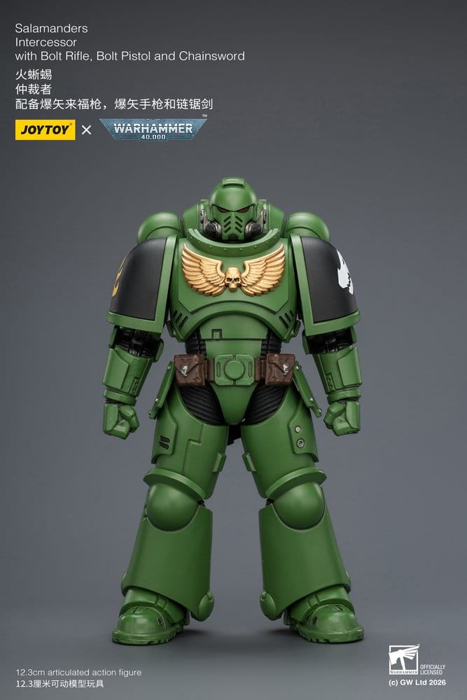 🧪 LAB | SU ORDINAZIONE Warhammer 40,000 Action Figure Salamanders Intercessor 12 cm