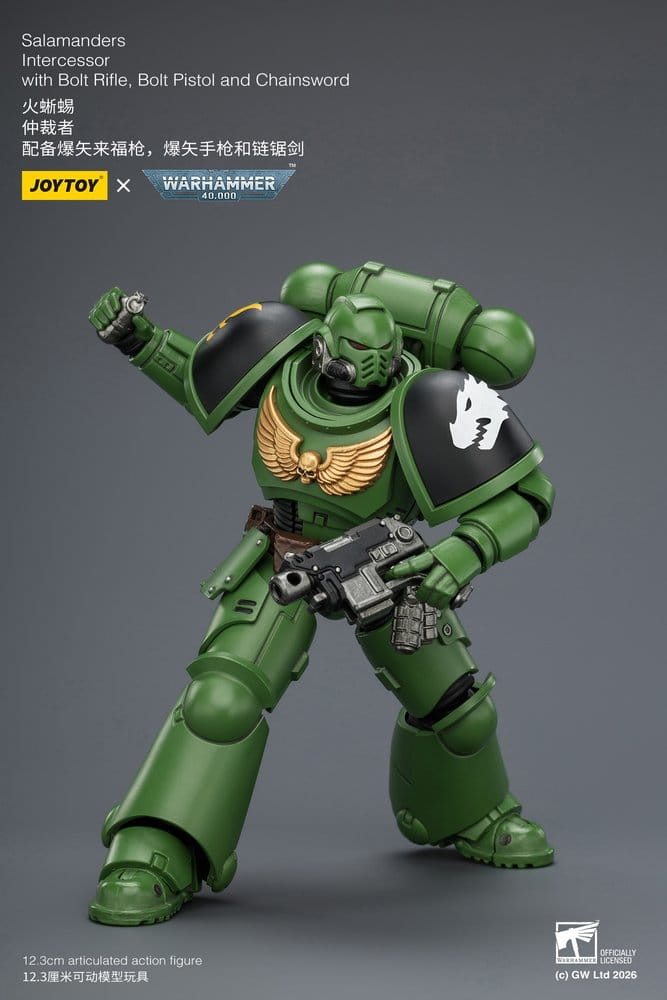 🧪 LAB | SU ORDINAZIONE Warhammer 40,000 Action Figure Salamanders Intercessor 12 cm