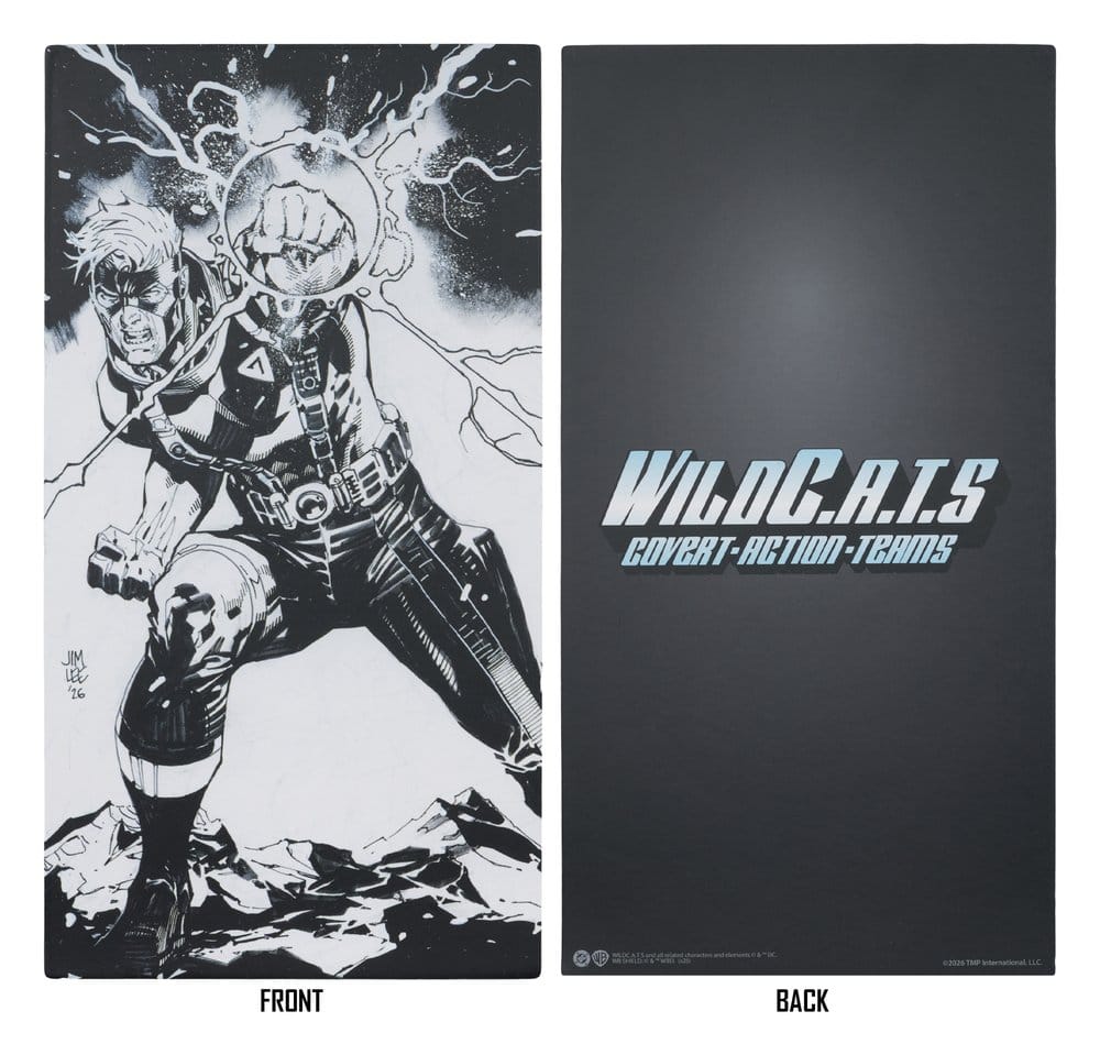 🧪 LAB | SU ORDINAZIONE WildC.A.T.S Elite Edition Image Comic Founders Series Deluxe Action Figure Spartan 19 cm