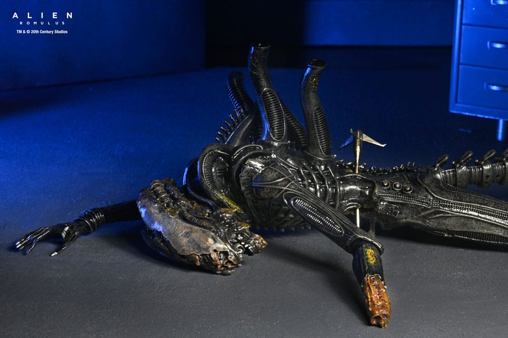 🧪 LAB | SU ORDINAZIONE Alien: Romulus Action Figure Deluxe Suspended Lab Xenomorph XX121 18 cm