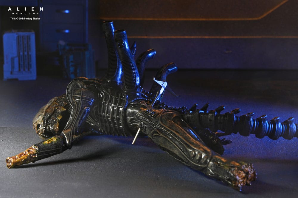 🧪 LAB | SU ORDINAZIONE Alien: Romulus Action Figure Deluxe Suspended Lab Xenomorph XX121 18 cm