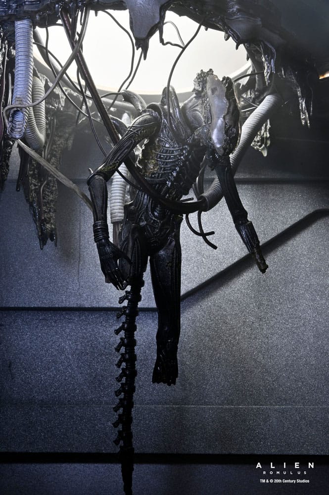 🧪 LAB | SU ORDINAZIONE Alien: Romulus Action Figure Deluxe Suspended Lab Xenomorph XX121 18 cm