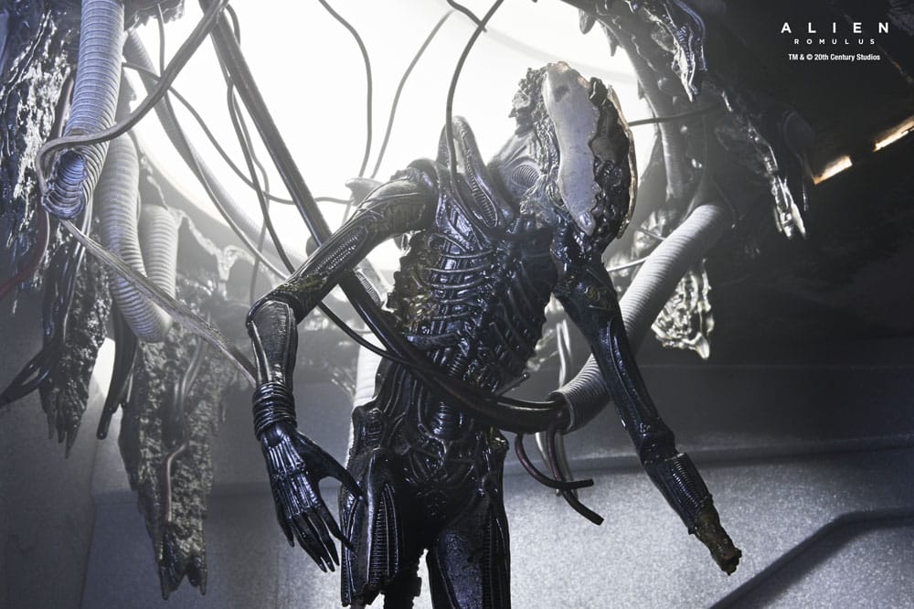 🧪 LAB | SU ORDINAZIONE Alien: Romulus Action Figure Deluxe Suspended Lab Xenomorph XX121 18 cm