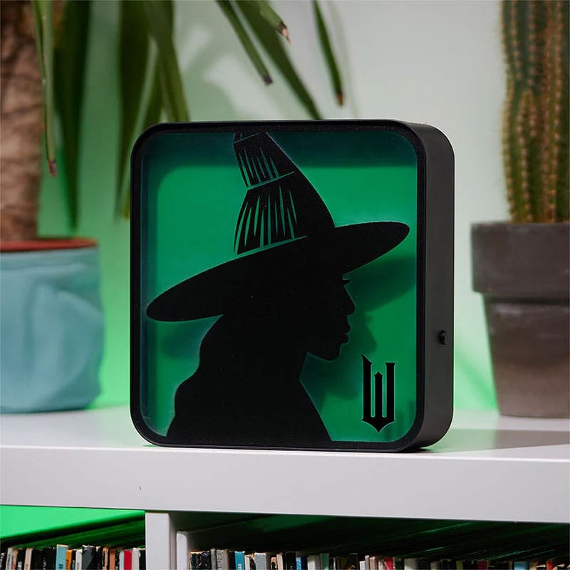 MADE TO ORDER Wicked Acrylic Light Witch