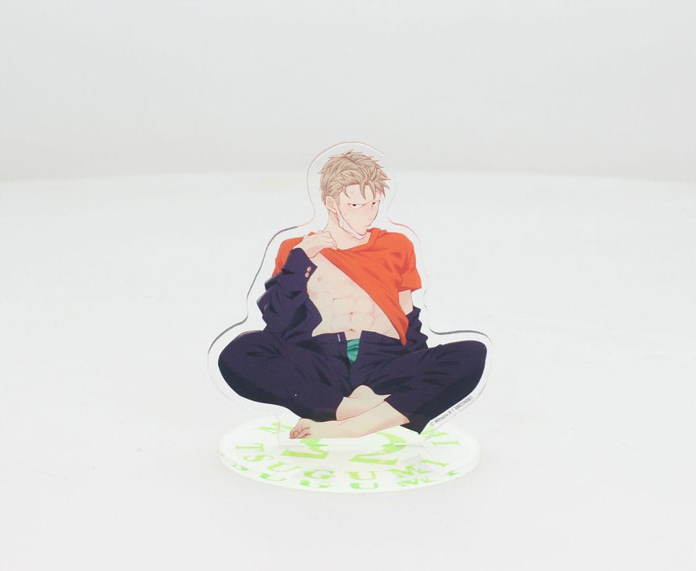 SU ORDINAZIONE Megumi & Tsugumi Acrylic Figure Megumi 21 cm *PREZZO SPECIALE*