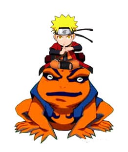 Naruto Shippuden Light Naruto and Gamakishi 20 cm *SPECIAL PRICE*