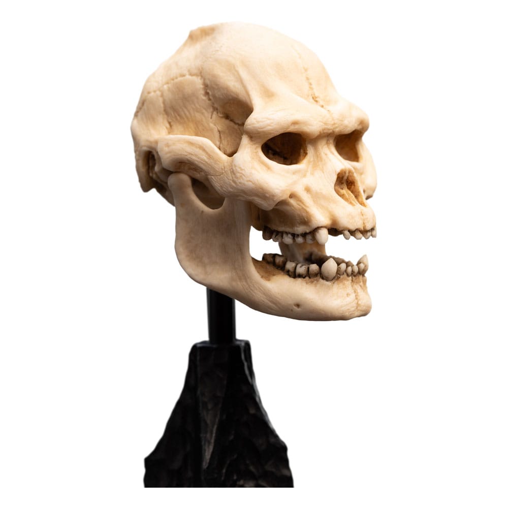 🧪 LAB | SU ORDINAZIONE Lord of the Rings Mini Statue Skull of Lurtz 14 cm